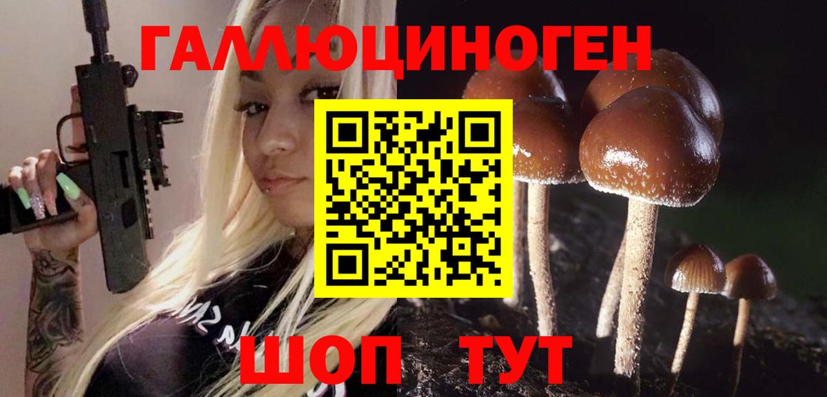 Барабинск  Галлюциногенные грибы Psilocybe  Вход с VPN  Псилоцибиновые грибы Psilocybine cubensis 